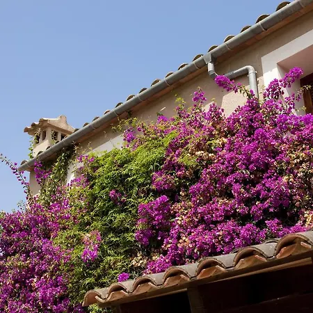 Country house Agroturismo Can Patro Manacor (Mallorca)